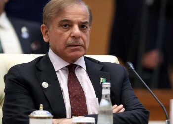 Pakistan will also send delegation abroad to counter India's global access program