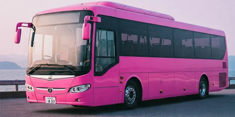 Pink Rider Bus will run on a fare of 7 rupees in Bhagalpur. Auto people will be arbitrary on many routes.