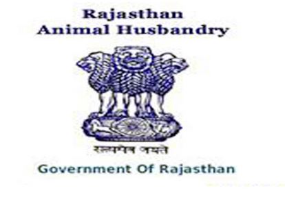 Rajasthan will become number one state in milk production, innovative efforts of Animal Husbandry Department in Gir Cow's breed improvement