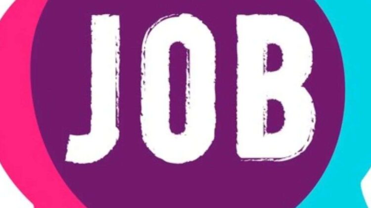 Recruitment to office assistant posts in Bank of Baroda, know every detail including selection process