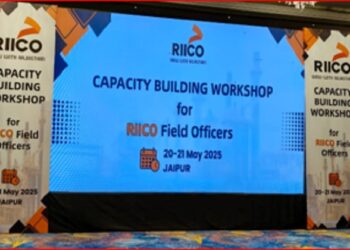 Rico's two -day capacity building workshop concluded: Main focus on investment and industrial development