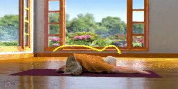'Shashankasana' gives flexibility to the spine, calm the mind and effective in relieving stress