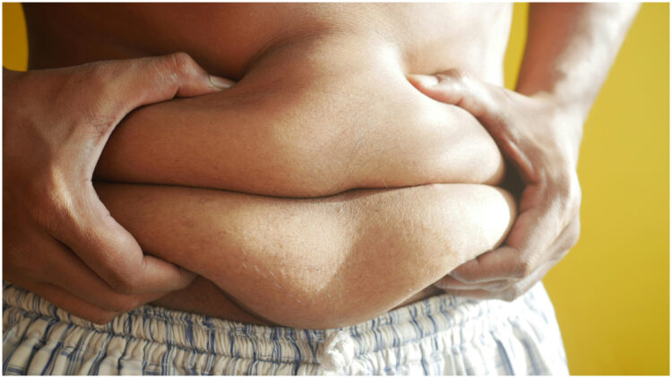 Stubborn fat stored around the stomach will start melting, drink this herbal tea daily