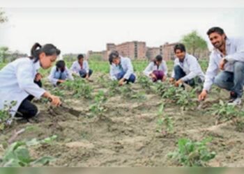 Students studying in Agricultural Faculty will get incentive amount from 11th to PhD
