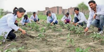 Students studying in Agricultural Faculty will get incentive amount from 11th to PhD