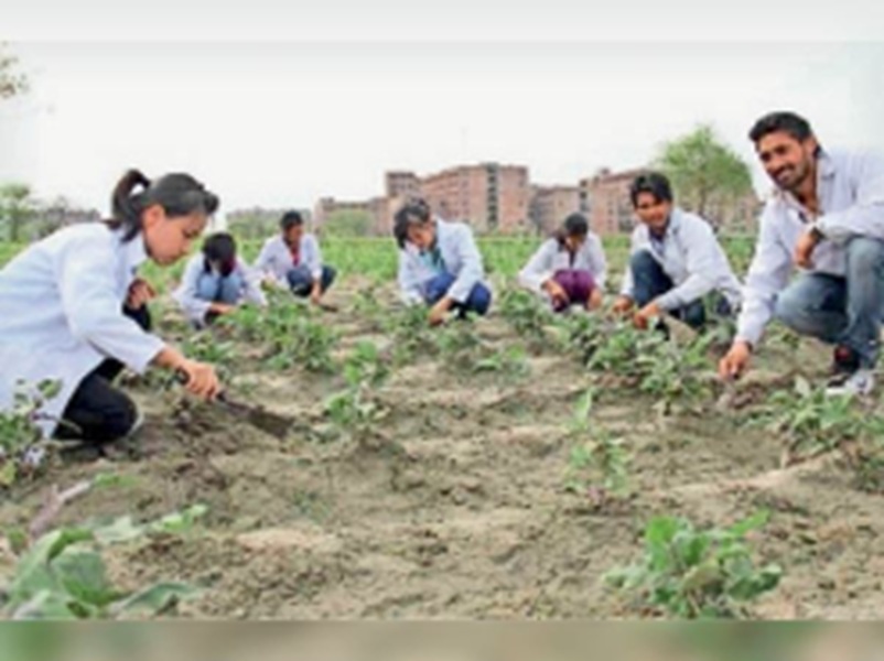Students studying in Agricultural Faculty will get incentive amount from 11th to PhD