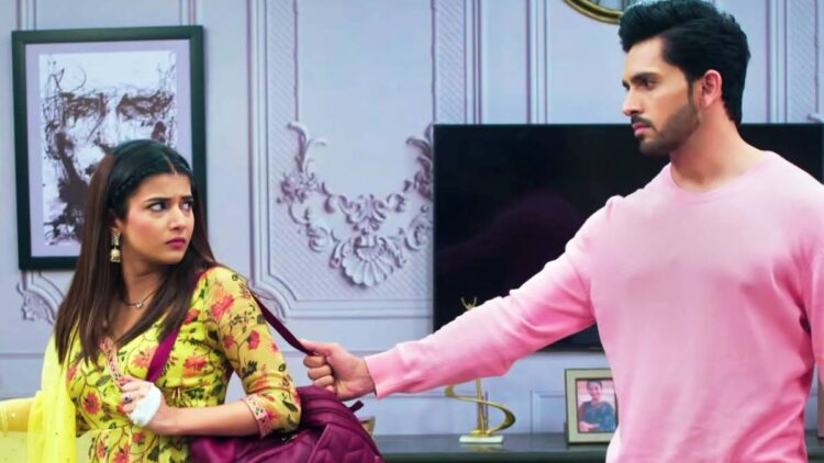 The equation of the relationship between Sarvhi and Armaan started deteriorating, a crack may come in the name of Puki