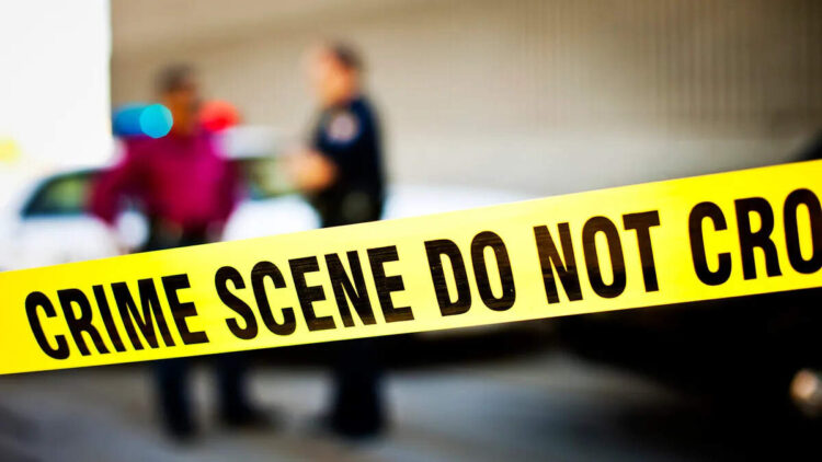 The murder of the first father and brother and then the girl should make physical relation with the lover near the corpses, this is how this double murder was revealed
