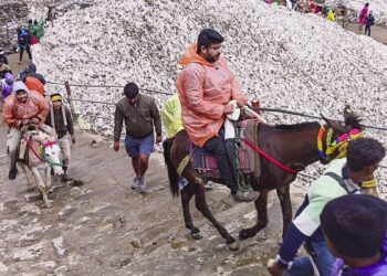 The operation of horse-mules in Kedarnath will continue to stop, 13 killed in two days