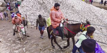 The operation of horse-mules in Kedarnath will continue to stop, 13 killed in two days