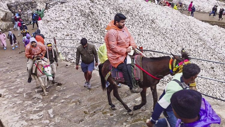 The operation of horse-mules in Kedarnath will continue to stop, 13 killed in two days