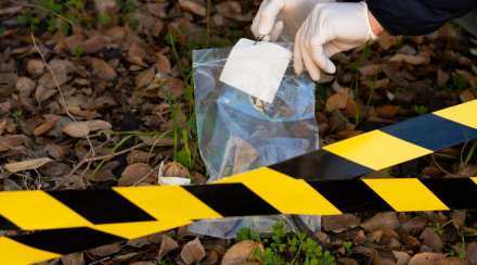 The police was investigating the case, but then the police solved the blind murder case with the blinking light