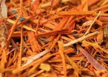 The special friend of women is 'Sapan's wood', not one or two medicines