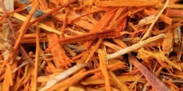 The special friend of women is 'Sapan's wood', not one or two medicines