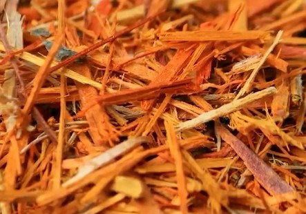 The special friend of women is 'Sapan's wood', not one or two medicines