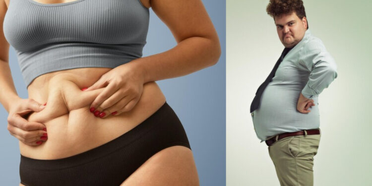 There are many types of belly fat, know which is the fat stored on your stomach and how it will reduce