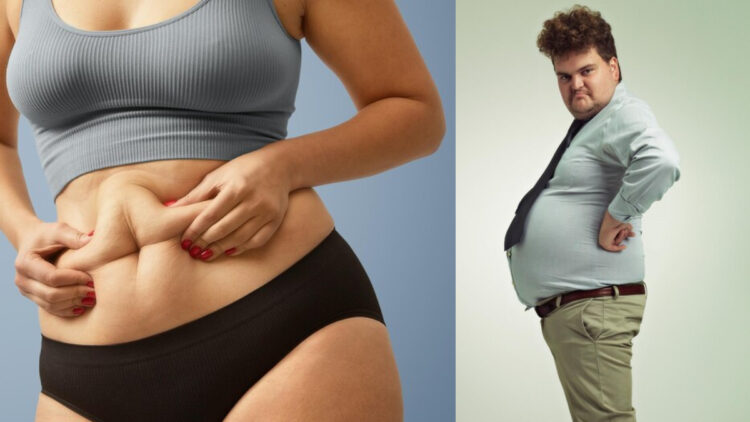 There are many types of belly fat, know which is the fat stored on your stomach and how it will reduce