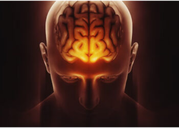 These symptoms are visible in the body, is there a sign of blockage in the veins of the brain?