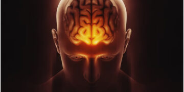 These symptoms are visible in the body, is there a sign of blockage in the veins of the brain?