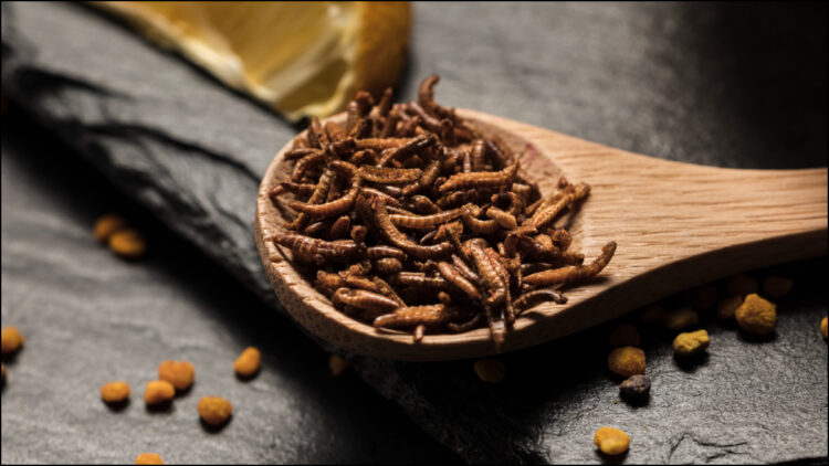 This magical herb is found in the Himalayan forests, effective in enhancing beauty