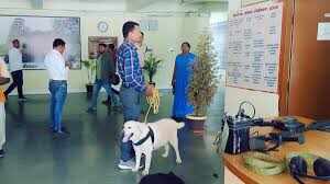 Threat to blow Sikar Collectorate campus from RDX, see RDX in the video