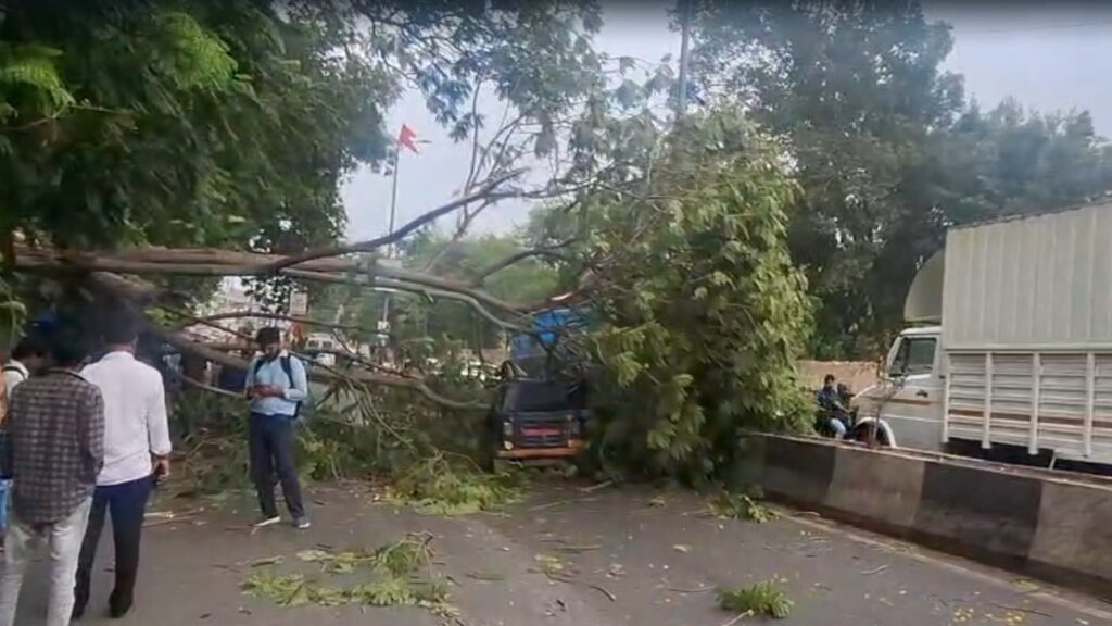 Thunderstorms and rain havoc in Gujarat, 14 people killed, roof of many houses flown