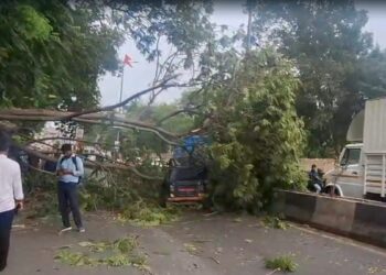 Thunderstorms and rain havoc in Gujarat, 14 people killed, roof of many houses flown