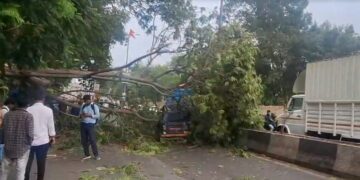 Thunderstorms and rain havoc in Gujarat, 14 people killed, roof of many houses flown