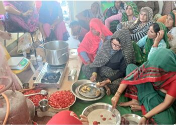 Training to make tomato sauce at Anganwadi center in Deeg, 45 women learned self -employment tricks