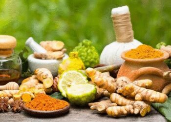 Treasure of health hidden in ten roots, know the miraculous benefits of Dashmool