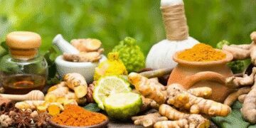 Treasure of health hidden in ten roots, know the miraculous benefits of Dashmool