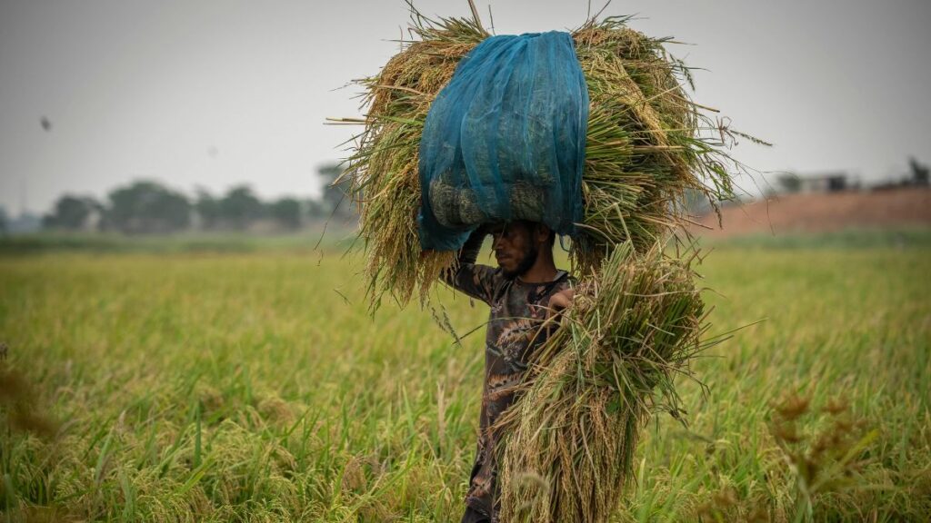 UN reduced India's growth estimate, said- Economy will increase the fastest despite the recession