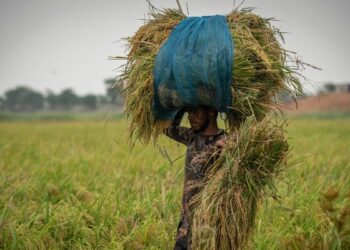 UN reduced India's growth estimate, said- Economy will increase the fastest despite the recession