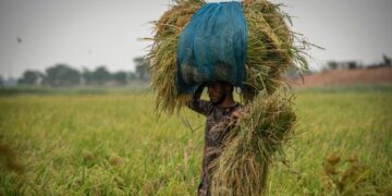UN reduced India's growth estimate, said- Economy will increase the fastest despite the recession