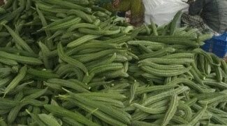 Vitamins, health rich in fiber is hidden in health, the secrets are amazing benefits