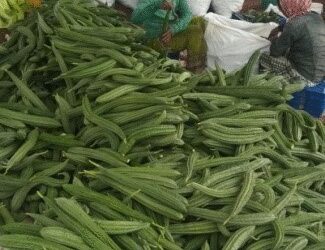 Vitamins, health rich in fiber is hidden in health, the secrets are amazing benefits