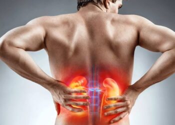 What increases in summer is the risk of kidney stone and experts are telling the solution