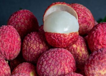 What is the effect of litchi, know what affects the body by eating this fruit?