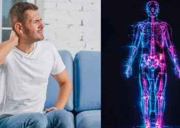 What to eat to strengthen the veins, the nutrient to keep the nervous system healthy