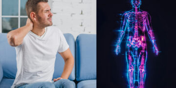 What to eat to strengthen the veins, the nutrient to keep the nervous system healthy