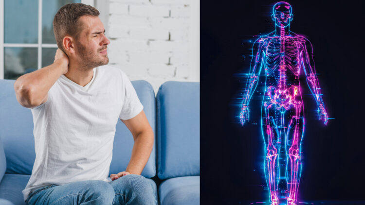 What to eat to strengthen the veins, the nutrient to keep the nervous system healthy