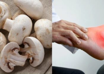 Whether or not mushrooms should be eaten in uric acid, know this vegetable is beneficial in this condition or
