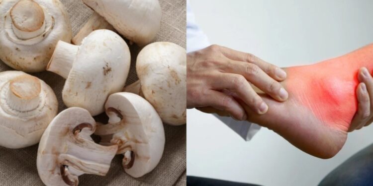 Whether or not mushrooms should be eaten in uric acid, know this vegetable is beneficial in this condition or