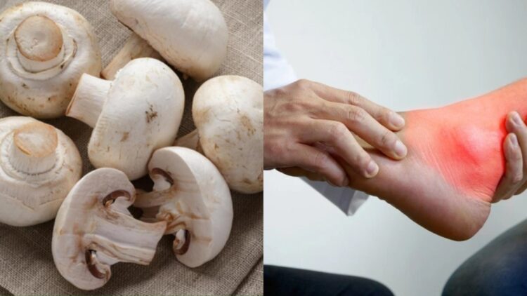 Whether or not mushrooms should be eaten in uric acid, know this vegetable is beneficial in this condition or
