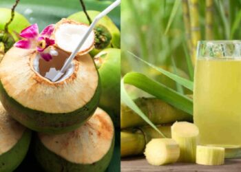 Which is more beneficial to drink coconut water or sugarcane juice in summer?
