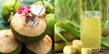 Which is more beneficial to drink coconut water or sugarcane juice in summer?