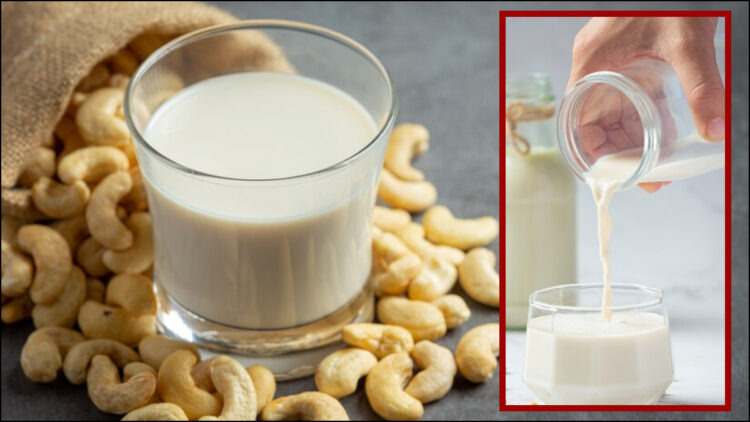You can make cashew milk at home, body will get immense power by drinking daily, know recipe