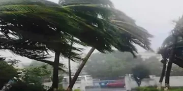 20 Heavy rain and thunderstorm alert issued in the state. The road will be cut till contact. The winds will run at a speed of 70.