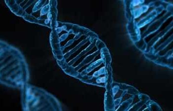 ADHD symptoms, autistic symptoms and anxiety affect genetic factor: study