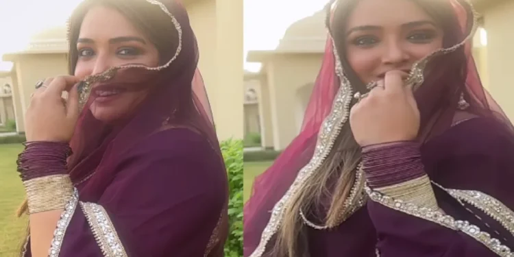 Amrapali Dubey wreaked havoc in Anarkali suit, fans fled on actress's beauty